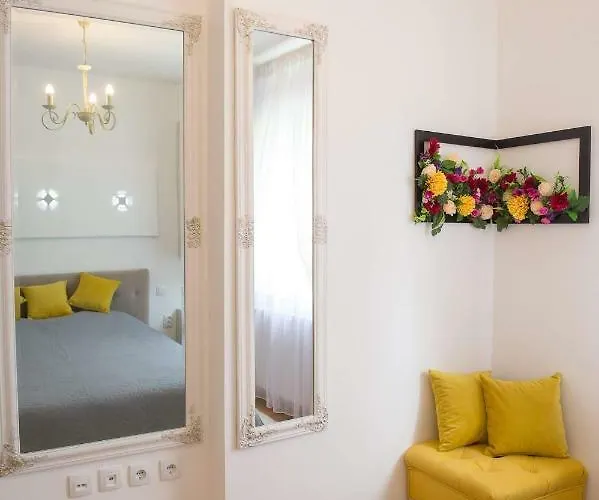 Navigator Center Újvidék