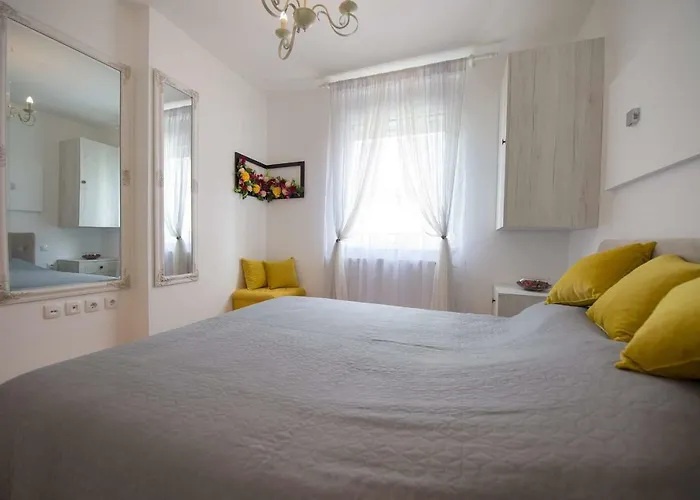 Navigator Center * Újvidék